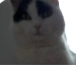 SundaySelfie8-4-2018