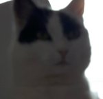 SundaySelfie8-4-2018