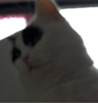 SundaySelfie8-4-2018