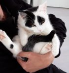 Aww,Sparks,Strawberries,FotoFails