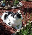 WordlessWednesdaySnack