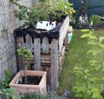 Aww-aSelfie-Spark-CaturdayArt