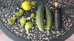 ThankfulHarvest