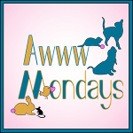 Click and find more Awwdorables here😺😺 Click and find more Awwdorables here😺😺