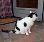 aww…spark20-8-2018