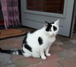 aww…spark20-8-2018