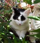 AwwArtySelfieSparkinone