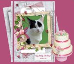 binkyframee116ab1f_edited-1blog