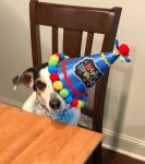 BirthdayBinky2018Cupcake