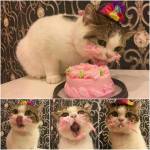 BirthdayBinky2018KimVanspauwen