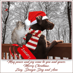 Christmas Wishes from Zoolatry, 2018&nbsp;[S]