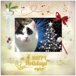 ChristmasCard2018Binky1