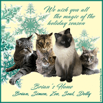 Holidays-Brians-Home-2018-SIDEBAR