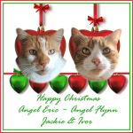 Holidays for Angels Eric and Flynn, ECard&nbsp;2018