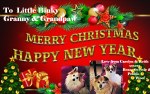 MerryChristmastoBinkyGrannyGrandpaw