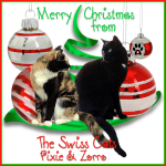 The Swiss Cats Christmas&nbsp;2018