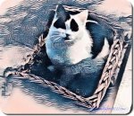 CaturdayArt8-12-2018