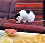 Aww…MondaySpark2019