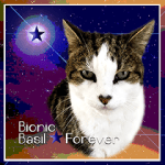 BIONIC BASIL Forever&nbsp;[S]