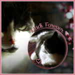 MADI Forever [Post&nbsp;Size]