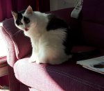 ThankfulThursday2019