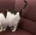 WinterWonderland2019