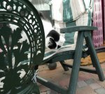 MusicalWednesday2019