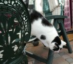 MusicalWednesday2019