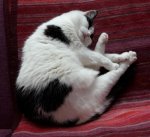 WordlessWednesday2019