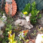 Angel’sBirthday2019