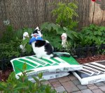 ThankfulThursday2019