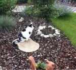 WordlessWednesday2019