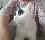 8yearsanniversary2019