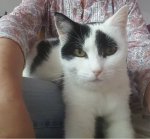 8yearsanniversary2019