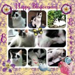 Blogiversary8years2019