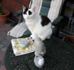 CaturdayArtSelfieadSpark2019