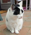 SundaySelfie22September2019