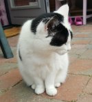 SundaySelfie22September2019