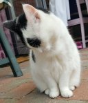 SundaySelfie22September2019