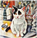 CaturdayArt2019.12.10