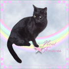 09-25-19 NOEL-Forever