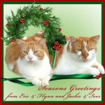 Angels Flynn and EricEcard&nbsp;2019