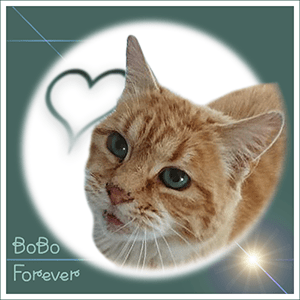 A heartful Thank you to miss Ann, Zoey and Doggie for this beautiful badge.