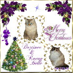 dw-Dezi n Raena Christmas Card&nbsp;2019