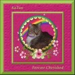 RIP 11-23-19 KaTwo 15 & Meowing&nbsp;sized