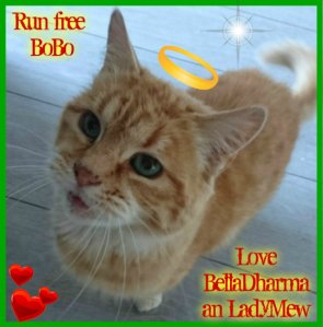 A heartful Thank you for this beautiful badge, sweet sister BellaDharma and LadyMum