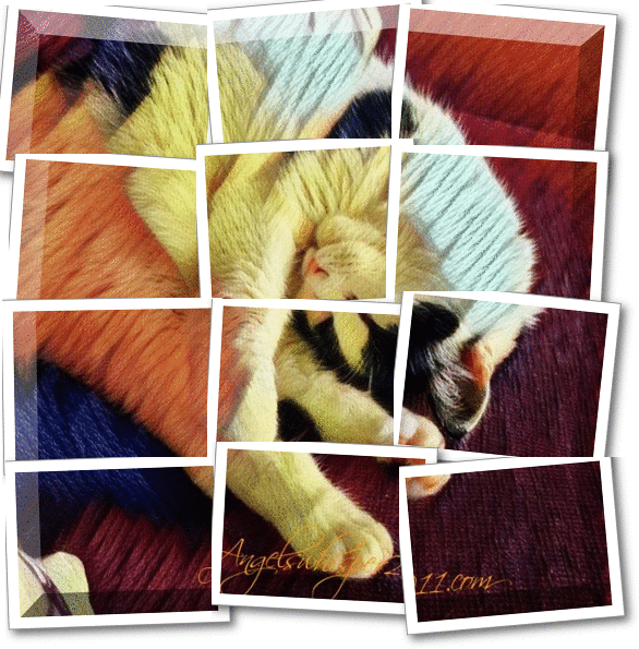 P U Z Z L E M E T O G E T H E R A G A I N :D