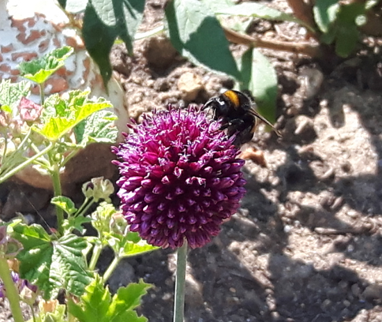 he was to fast for a picture so we used one of last year...