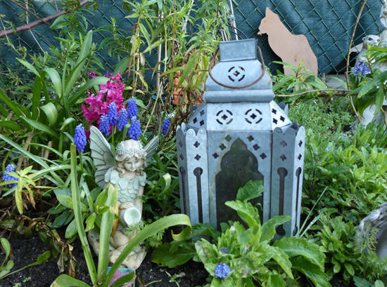 Muscari blue, Hyacinth, Forget-me-nots