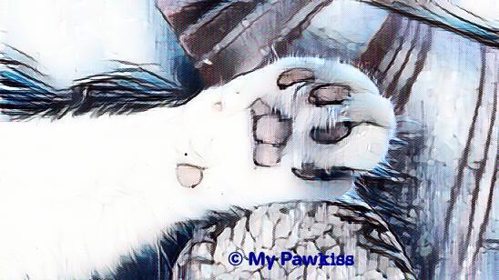 E X T R A B O N U S P U Z Z L E ! :D